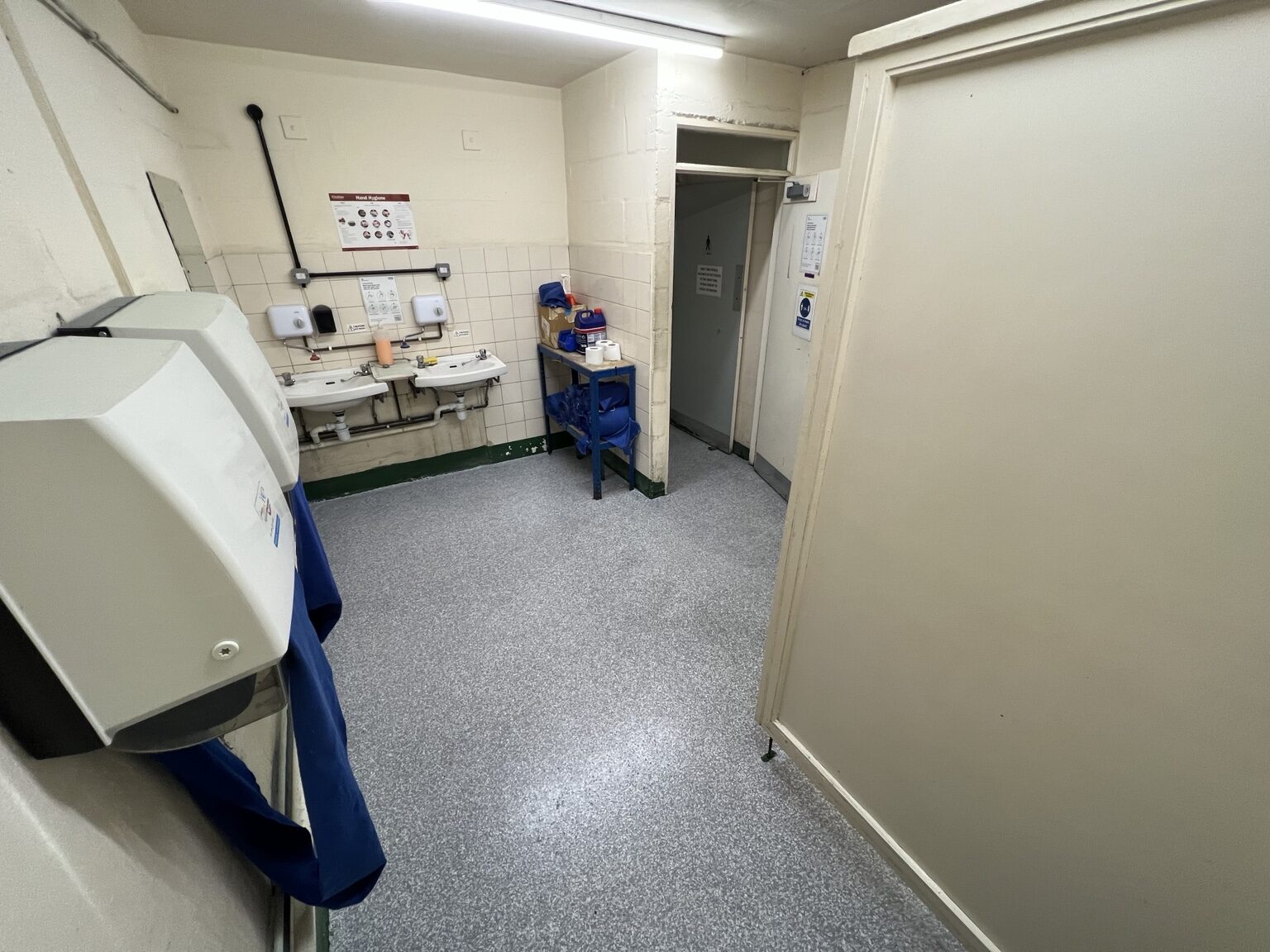 Finished decorative flake resin floor in a washroom